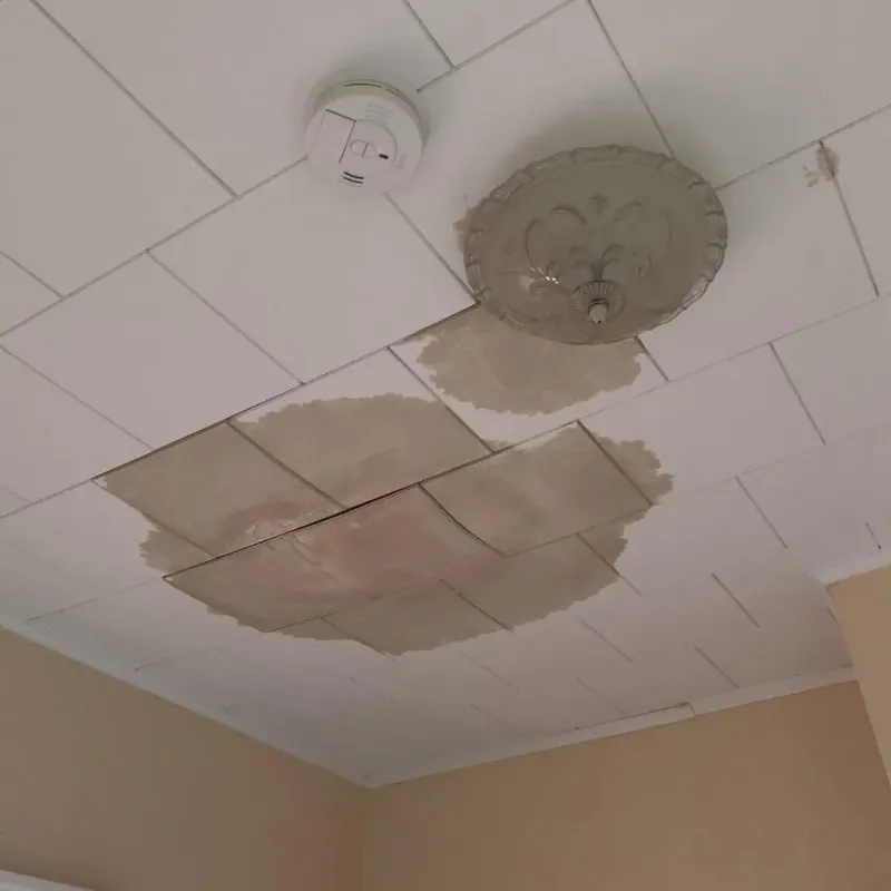 Ceiling Water Damage Repair in South Beloit, IL