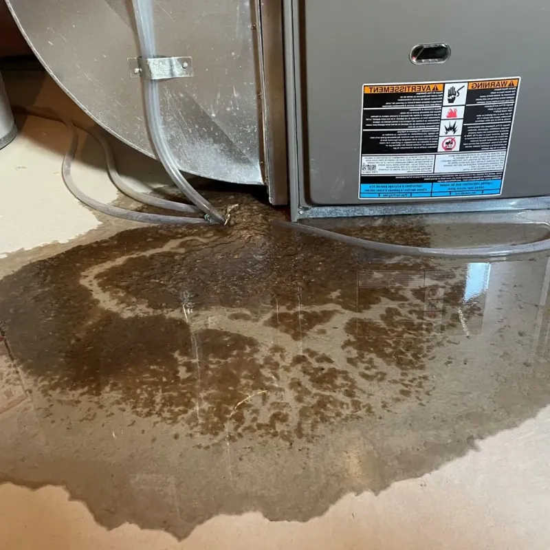 Pipe Burst and Leak Restoration in South Beloit, IL